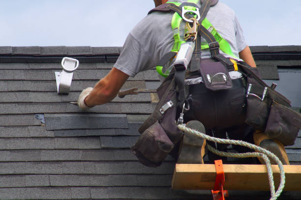 Professional Roofing services in Rogers, TX